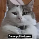 Наліпка