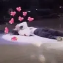 স্টিকার