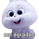 Samolepka