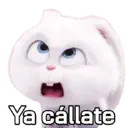 Samolepka