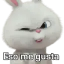 Samolepka