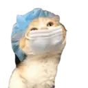 Adhesiu
