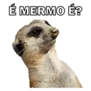 Стикер