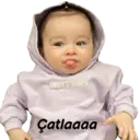 Çıkartma
