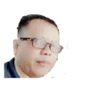 Stika