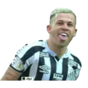 Samolepka