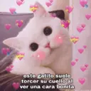 Naljepnica