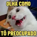 Figurinha