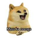 স্টিকার