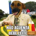 Figurinha