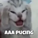 Límmiði
