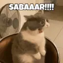 ステッカー