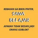Stika