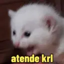 Çıkartma