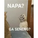 ਸਟਿਕਰ