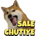 Стикер