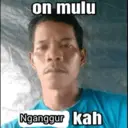 Stika