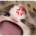 ステッカー