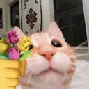 ملصق