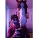 ਸਟਿਕਰ