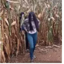 ਸਟਿਕਰ