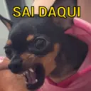 스티커