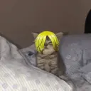 Figurinha