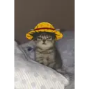Figurinha