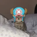 Figurinha