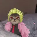 Figurinha