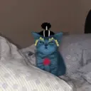 Figurinha