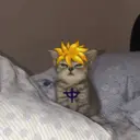 Figurinha