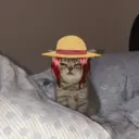 Figurinha