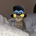 Figurinha