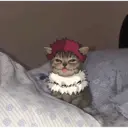 Figurinha