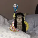 Figurinha