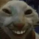 Stika
