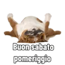 ਸਟਿਕਰ