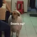 Наліпка