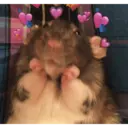 స్టికర్