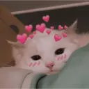 స్టికర్