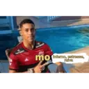 Samolepka