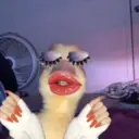 Stika