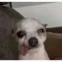 Stika