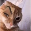 Stika