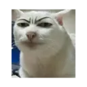 Stika
