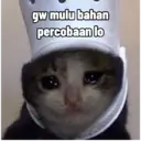 Stika