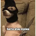 Stika