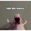 Stika