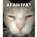 Stika